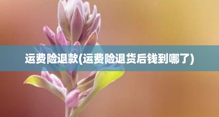 运费险退款(运费险退货后钱到哪了)