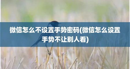微信怎么不设置手势密码(微信怎么设置手势不让别人看)