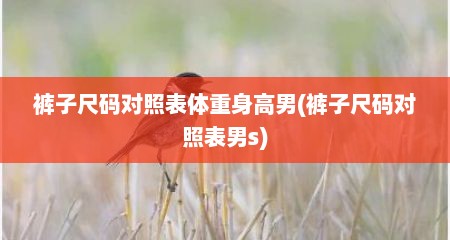 裤子尺码对照表体重身高男(裤子尺码对照表男s)