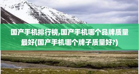 国产手机排行榜,国产手机哪个品牌质量最好(国产手机哪个牌子质量好?)