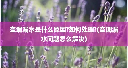 空调漏水是什么原因?如何处理?(空调漏水问题怎么解决)