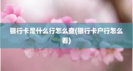 银行卡是什么行怎么查(银行卡户行怎么看)