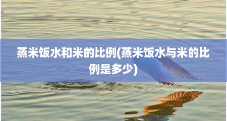 蒸米饭水和米的比例(蒸米饭水与米的比例是多少)