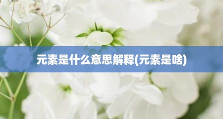 元素是什么意思解释(元素是啥)