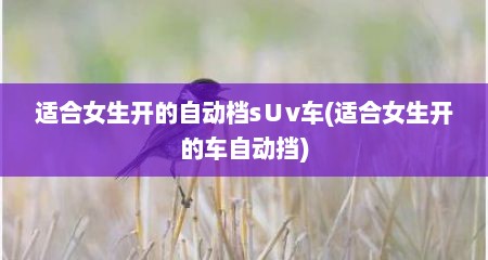 适合女生开的自动档s∪v车(适合女生开的车自动挡)