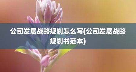 公司发展战略规划怎么写(公司发展战略规划书范本)