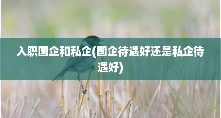 入职国企和私企(国企待遇好还是私企待遇好)