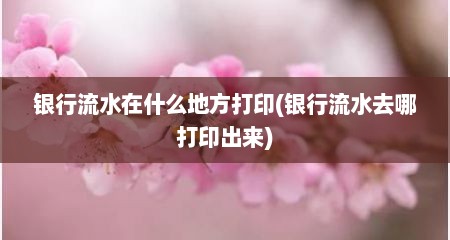 银行流水在什么地方打印(银行流水去哪打印出来)