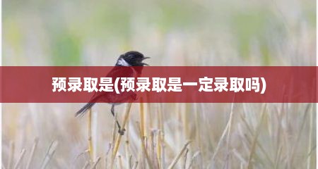 预录取是(预录取是一定录取吗)