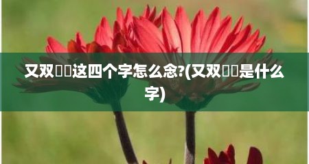 又双叒叕这四个字怎么念?(又双叒叕是什么字)