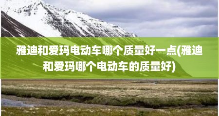 雅迪和爱玛电动车哪个质量好一点(雅迪和爱玛哪个电动车的质量好)