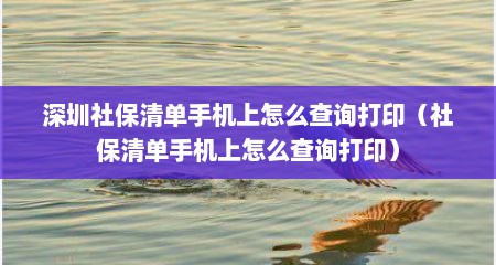 深圳社保清单手机上怎么查询打印（社保清单手机上怎么查询打印）