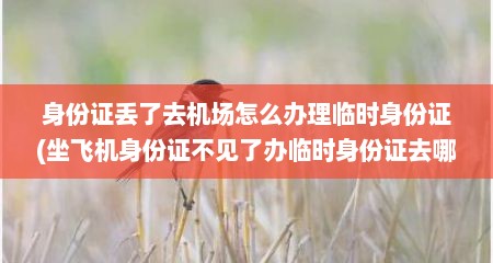 身份证丢了去机场怎么办理临时身份证(坐飞机身份证不见了办临时身份证去哪里办)