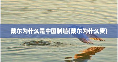 戴尔为什么是中国制造(戴尔为什么贵)