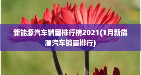 新能源汽车销量排行榜2021(1月新能源汽车销量排行)