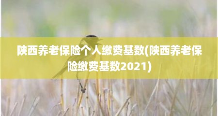 陕西养老保险个人缴费基数(陕西养老保险缴费基数2021)