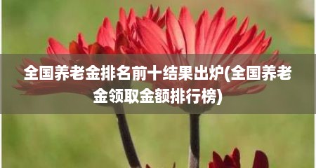 全国养老金排名前十结果出炉(全国养老金领取金额排行榜)