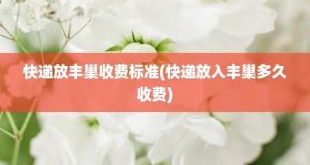 快递放丰巢收费标准(快递放入丰巢多久收费)