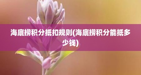 海底捞积分抵扣规则(海底捞积分能抵多少钱)