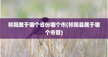祁阳属于哪个省份哪个市(祁阳县属于哪个市管)