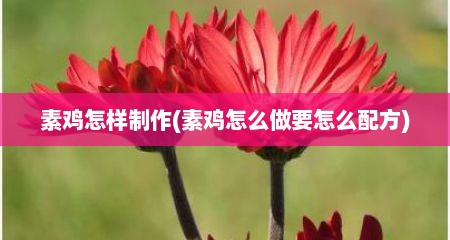 素鸡怎样制作(素鸡怎么做要怎么配方)