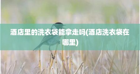 酒店里的洗衣袋能拿走吗(酒店洗衣袋在哪里)