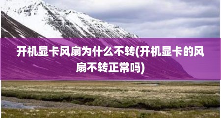 开机显卡风扇为什么不转(开机显卡的风扇不转正常吗)