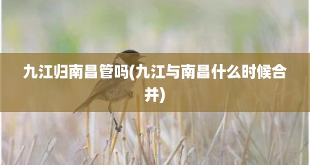 九江归南昌管吗(九江与南昌什么时候合并)
