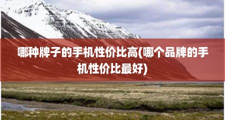哪种牌子的手机性价比高(哪个品牌的手机性价比最好)