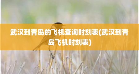 武汉到青岛的飞机查询时刻表(武汉到青岛飞机时刻表)