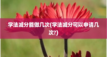 学法减分能做几次(学法减分可以申请几次?)