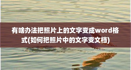 有啥办法把照片上的文字变成word格式(如何把照片中的文字变文档)