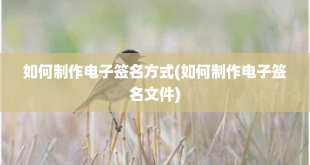 如何制作电子签名方式(如何制作电子签名文件)