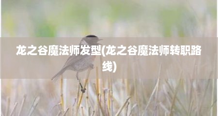 龙之谷魔法师发型(龙之谷魔法师转职路线)