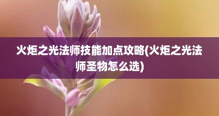 火炬之光法师技能加点攻略(火炬之光法师圣物怎么选)