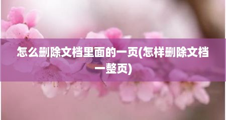 怎么删除文档里面的一页(怎样删除文档一整页)
