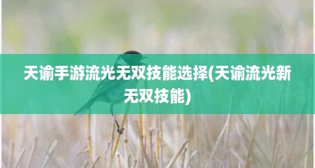 天谕手游流光无双技能选择(天谕流光新无双技能)