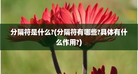 分隔符是什么?(分隔符有哪些?具体有什么作用?)