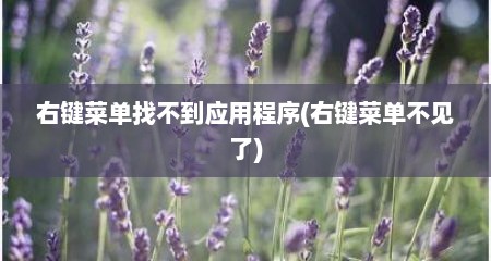 右键菜单找不到应用程序(右键菜单不见了)