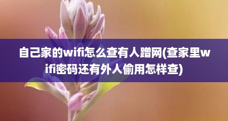 自己家的wifi怎么查有人蹭网(查家里wifi密码还有外人偷用怎样查)