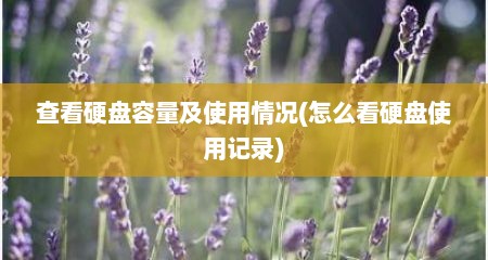 查看硬盘容量及使用情况(怎么看硬盘使用记录)