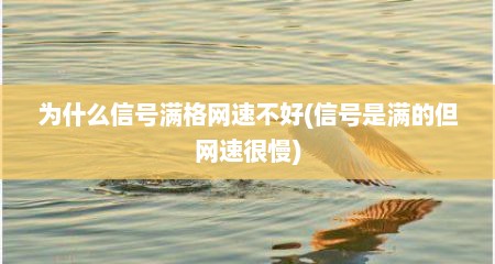 为什么信号满格网速不好(信号是满的但网速很慢)
