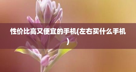 性价比高又便宜的手机(左右买什么手机)