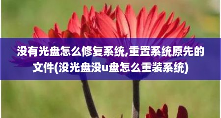 没有光盘怎么修复系统,重置系统原先的文件(没光盘没u盘怎么重装系统)