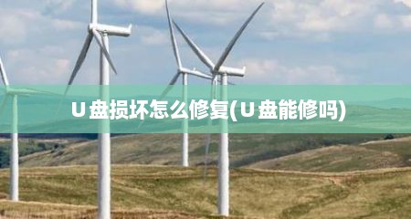 ∪盘损坏怎么修复(∪盘能修吗)