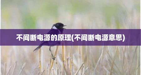 不间断电源的原理(不间断电源意思)