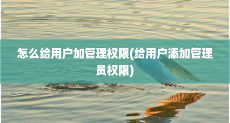 怎么给用户加管理权限(给用户添加管理员权限)