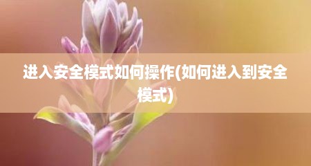 进入安全模式如何操作(如何进入到安全模式)