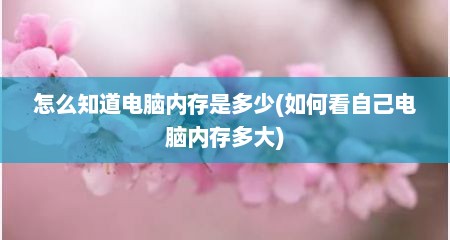 怎么知道电脑内存是多少(如何看自己电脑内存多大)