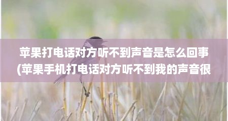 苹果打电话对方听不到声音是怎么回事(苹果手机打电话对方听不到我的声音很小)